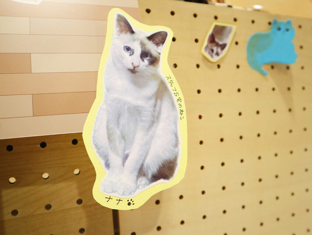 2月22日ねこの日